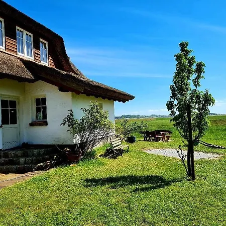 Alte Und Neue Buednerei * Groß Zicker