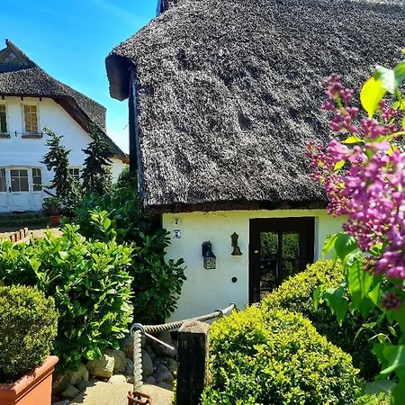 Apartamento Alte Und Neue Buednerei