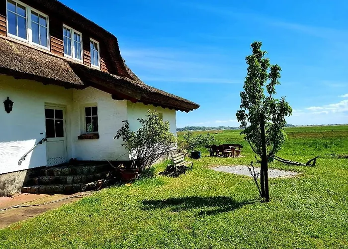 Alte Und Neue Buednerei * Groß Zicker